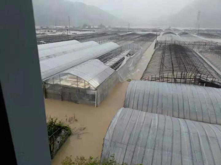臨海邵家渡最新規(guī)劃圖，未來城市發(fā)展的藍圖，臨海邵家渡最新規(guī)劃圖揭秘，未來城市發(fā)展的宏偉藍圖