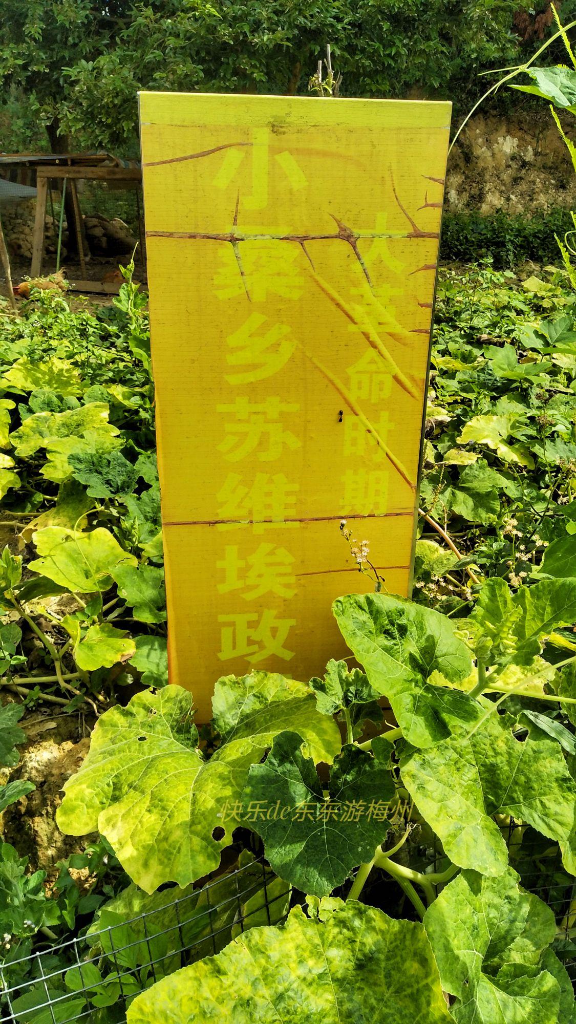 梅州人才網(wǎng)最新招聘信息概覽，梅州人才網(wǎng)最新招聘信息匯總
