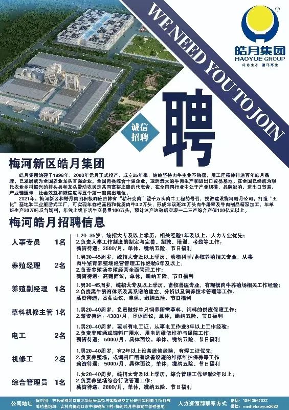 梅河招聘網(wǎng)最新招聘動態(tài)深度解析，梅河招聘網(wǎng)最新招聘動態(tài)深度解析及解讀