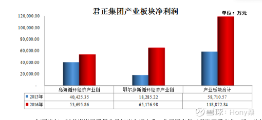 君正集團(tuán)最新消息綜述，君正集團(tuán)最新消息綜述，動(dòng)態(tài)與發(fā)展概覽