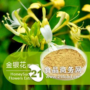 今日金銀花價(jià)格最新行情分析，今日金銀花價(jià)格行情分析，最新市場(chǎng)動(dòng)態(tài)揭秘