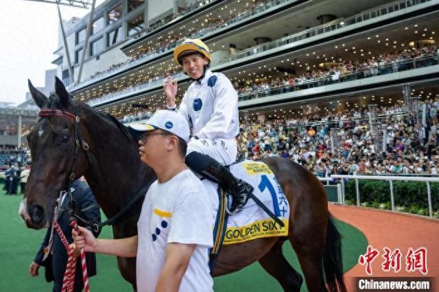 香港特馬王資料免費(fèi)公開背后的真相與警示，香港特馬王資料免費(fèi)公開背后的真相及警示探究