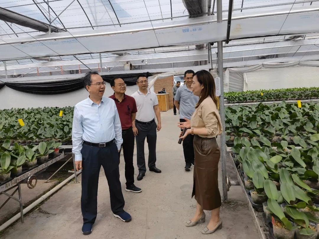 深入剖析：新奧內(nèi)部最準資料的真正價值
