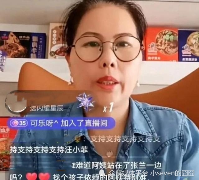 麥琳前保姆爆料，揭開(kāi)不為人知的秘密，麥琳前保姆揭秘，不為人知的秘密曝光