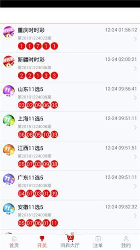 管家婆204年資料解析，一肖配成龍，管家婆204年資料解析揭秘，一肖配成龍獨家解析