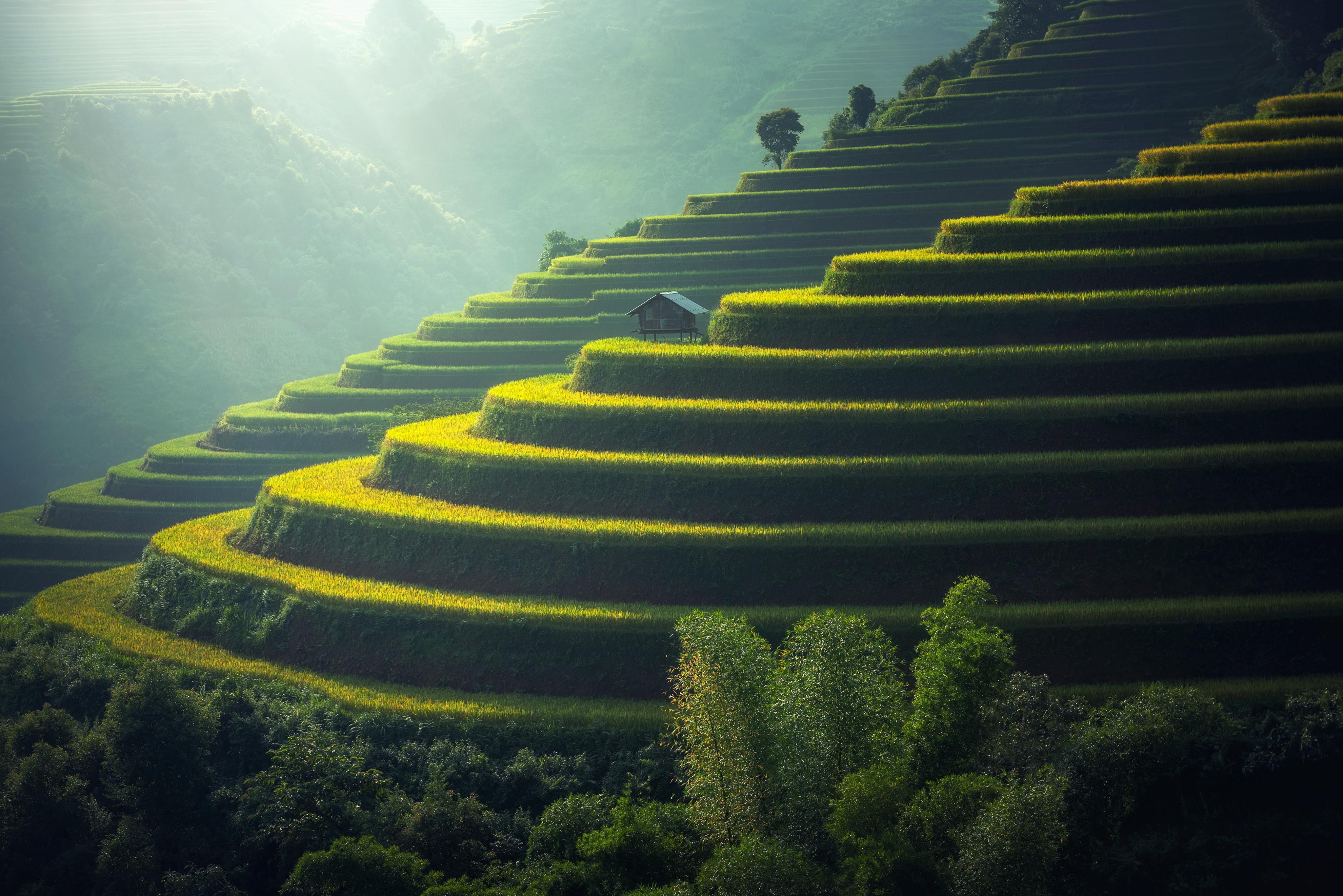 新澳最精準(zhǔn)最精準(zhǔn)的龍門客棧，新澳龍門客棧，最精準(zhǔn)的特色住宿指南