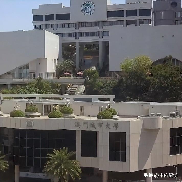 關(guān)于所謂的2024新澳門正版免費(fèi)資本車的真相揭露——警惕網(wǎng)絡(luò)賭博陷阱，警惕網(wǎng)絡(luò)賭博陷阱，揭露所謂澳門正版免費(fèi)資本車真相