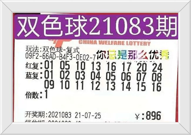 香港今晚開獎結(jié)果號碼——揭開幸運(yùn)的面紗，香港今晚開獎結(jié)果揭曉，幸運(yùn)號碼揭曉之夜