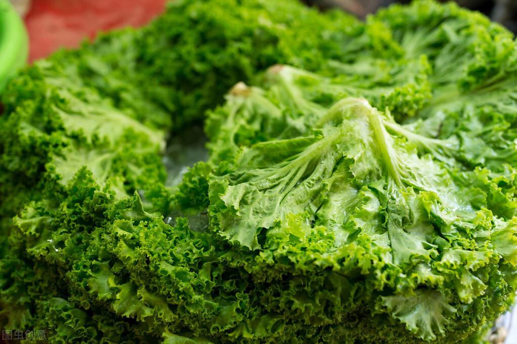 豆角價格最新消息，市場動態(tài)與影響因素分析，豆角價格動態(tài)，最新消息與市場影響因素分析