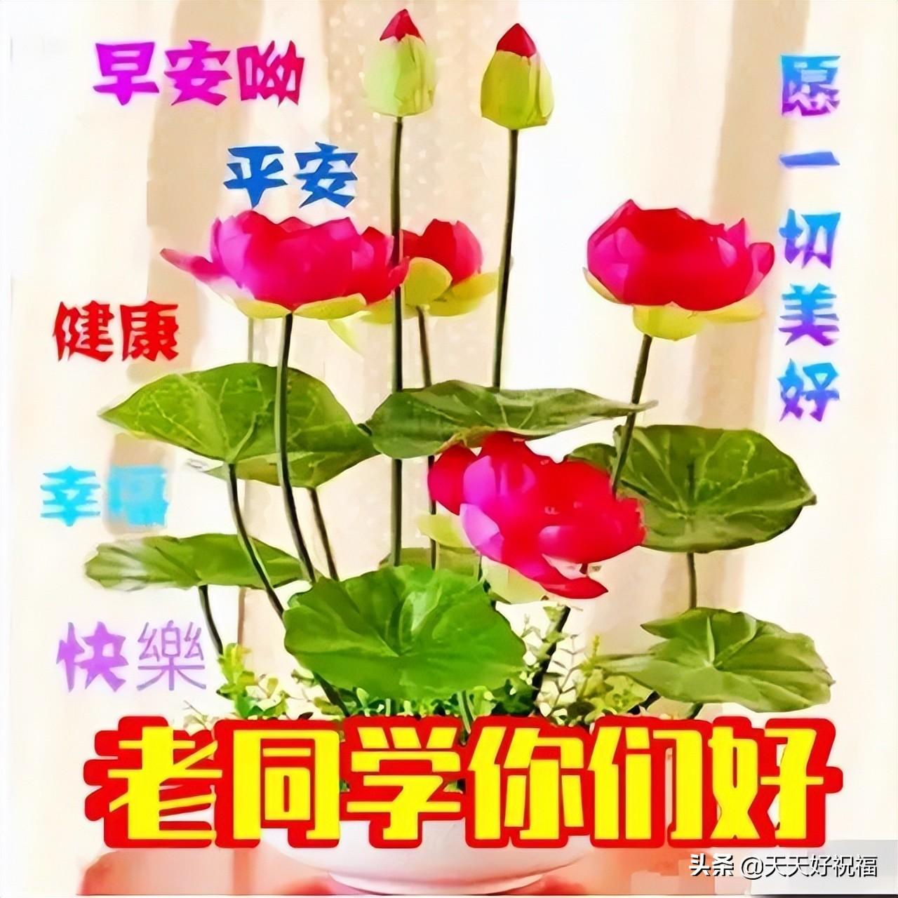 遠(yuǎn)方的星光 第17頁(yè)