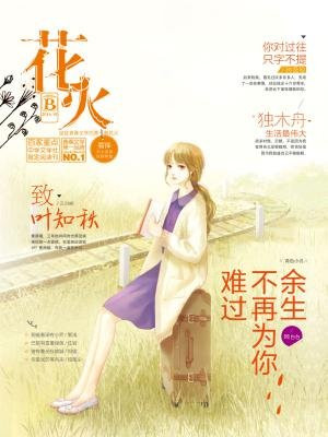 最新花火系列小說，燃燒青春，照亮未來，花火系列小說，青春燃燒，照亮未來之路