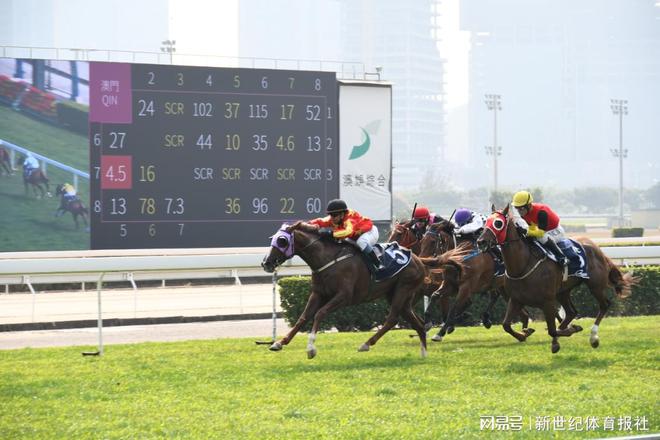 澳門賽馬會，歷史、文化與競技的交融，澳門賽馬會，歷史、文化與競技的璀璨交融
