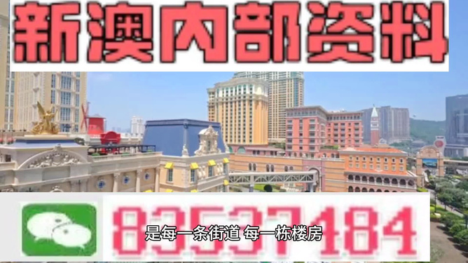 新澳門最精準(zhǔn)正最精準(zhǔn)龍門——揭示犯罪背后的真相，澳門犯罪真相揭秘，最精準(zhǔn)龍門行動(dòng)出擊點(diǎn)