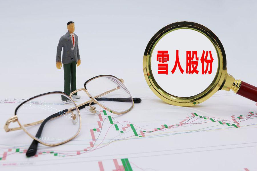 雪人股份，收購(gòu)風(fēng)云再起，未來(lái)走向引人矚目，雪人股份收購(gòu)再起風(fēng)云，未來(lái)發(fā)展走向備受矚目