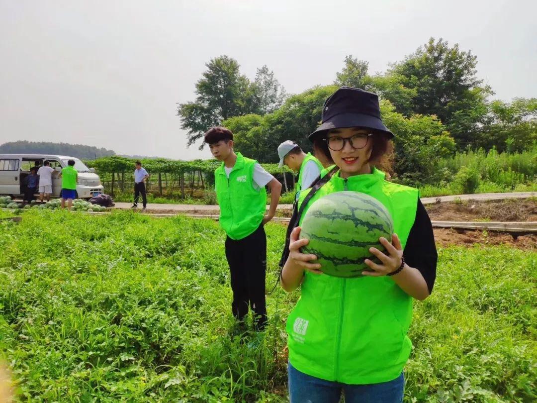 先鋒電子股票股吧，投資熱點與未來展望，先鋒電子股票股吧，投資熱點及未來展望分析