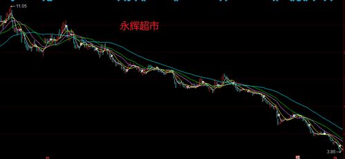 永輝超市股票未來走勢分析，永輝超市股票未來走勢展望，深度解析與預測