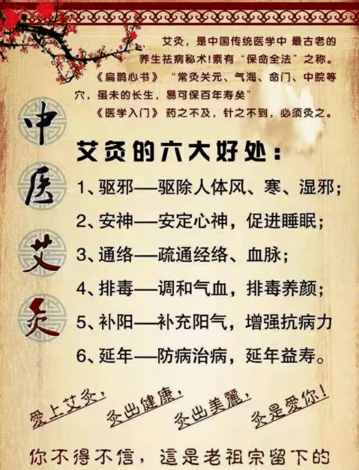 新奧天天免費(fèi)資料與東方心經(jīng)的探索之旅，新奧天天免費(fèi)資料與東方心經(jīng)的深度探索
