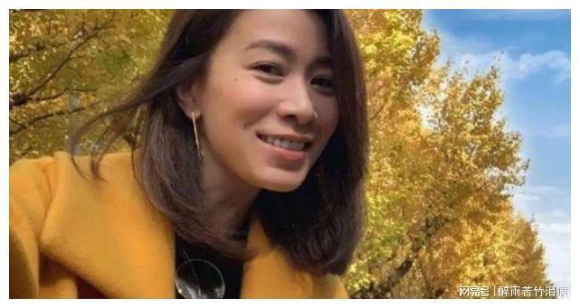 一位35歲未婚女子的回村經(jīng)歷分享，35歲未婚女子的鄉(xiāng)村回歸之旅