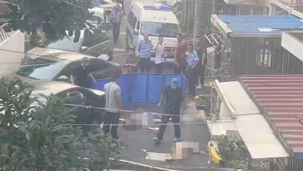 上海某小區(qū)發(fā)生刑案致一死，悲劇背后的警示與思考，上海小區(qū)刑案致一死，悲劇背后的警示與反思