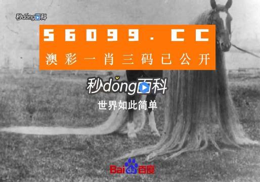澳門一肖一碼一必中一肖舟山，揭示背后的風險與挑戰(zhàn)，澳門一肖一碼背后的風險與挑戰(zhàn)揭秘