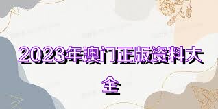 澳門正版資料大全與犯罪違法問題，澳門正版資料與犯罪違法問題探討