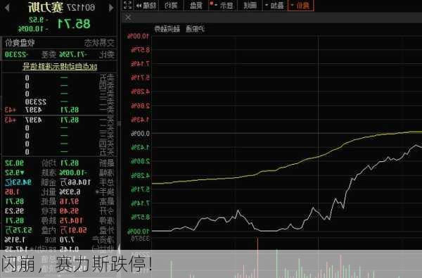 賽力斯股票暴跌原因深度解析，賽力斯股票暴跌原因深度探究