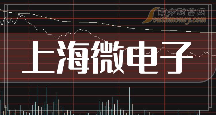 上海微電子前十大股東深度解析，上海微電子前十大股東的深度剖析