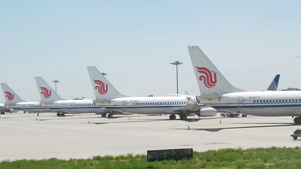 國(guó)內(nèi)航空公司排名及其綜合評(píng)估，國(guó)內(nèi)航空公司排名與綜合評(píng)估概覽