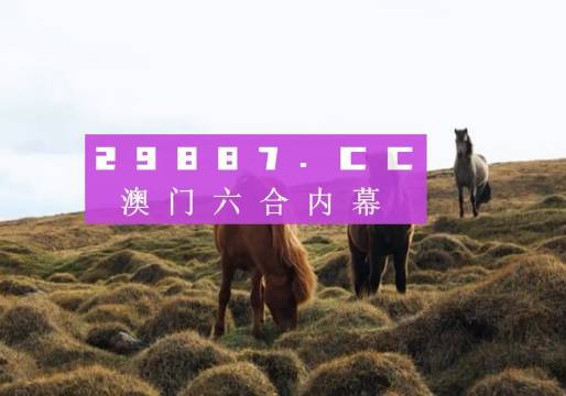 澳門六開獎結果查詢——探索最新開獎動態(tài)（XXXX年視角），澳門六開獎結果最新查詢，XXXX年視角下的最新開獎動態(tài)探索