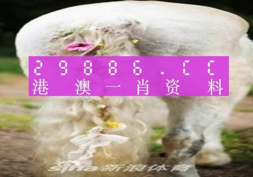 澳門內(nèi)部資料精準(zhǔn)大全2023——警惕違法犯罪風(fēng)險(xiǎn)，澳門內(nèi)部資料精準(zhǔn)大全背后的風(fēng)險(xiǎn)，警惕違法犯罪威脅 2023年警惕篇