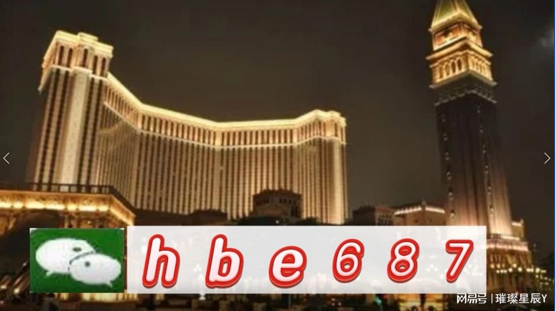 關(guān)于新澳門資料大全正版資料2024免費(fèi)下載及家野中特的探討——警惕違法犯罪風(fēng)險，澳門正版資料大全2024免費(fèi)下載及家野中特探討，警惕違法犯罪風(fēng)險