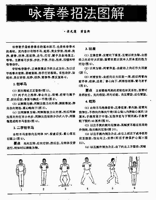 詠春拳實(shí)戰(zhàn)技巧深度解析，詠春拳實(shí)戰(zhàn)技巧全面深度解析