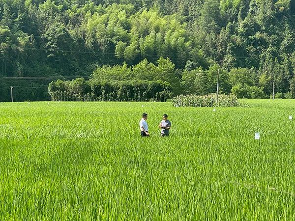 luguanyu 第19頁