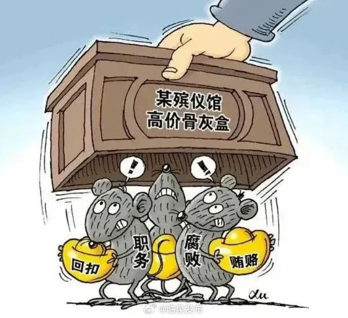 殯葬領(lǐng)域整治措施，殯葬領(lǐng)域整治行動(dòng)全面展開，深化整治措施應(yīng)對(duì)挑戰(zhàn)