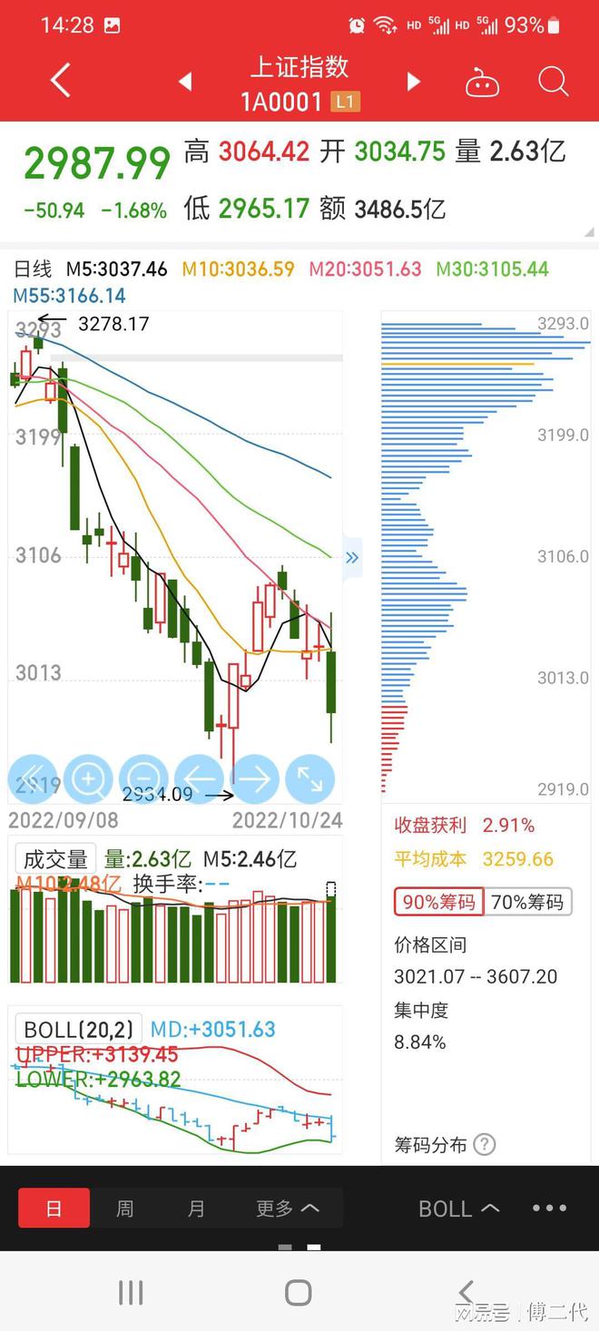 上證指數暴跌百點新，市場波動背后的深層原因與應對策略，上證指數暴跌百點背后的深層原因及應對策略