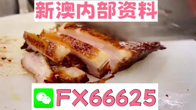 新奧長(zhǎng)期免費(fèi)資料大全，探索與啟示，新奧長(zhǎng)期免費(fèi)資料大全，深度探索與啟示
