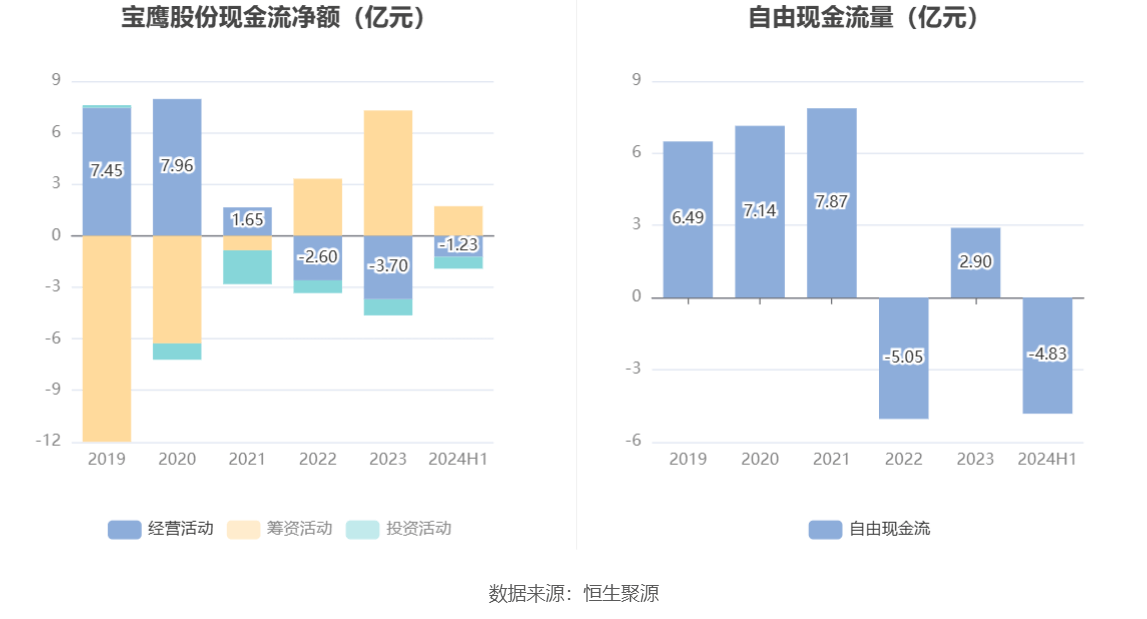寶鷹股份上漲新篇章，探索、突破與未來的繁榮，寶鷹股份開啟上漲新篇章，探索突破，共筑未來繁榮之路