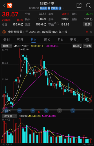 虹軟科技，未來十年十倍增長潛力股，虹軟科技，未來十年高增長潛力股展望