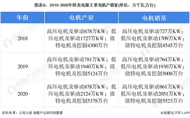臥龍電驅(qū)未來(lái)發(fā)展前景展望，臥龍電驅(qū)未來(lái)發(fā)展展望，前景廣闊，潛力無(wú)限