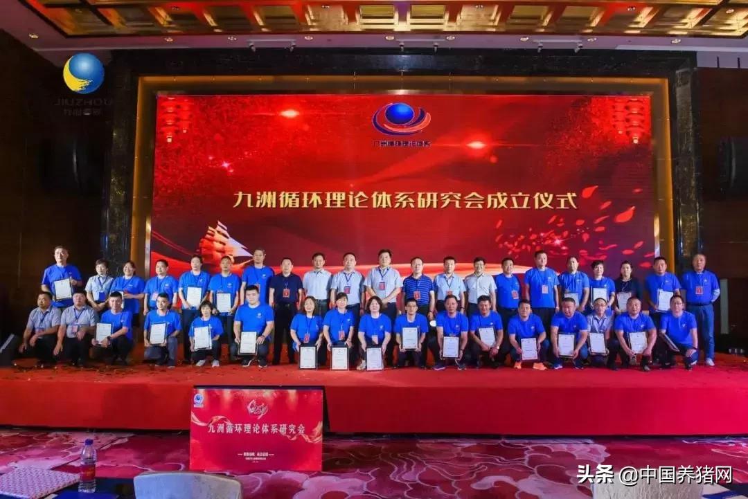九洲集團(tuán)全面解析，實(shí)力、業(yè)務(wù)、文化與發(fā)展前景，九洲集團(tuán)深度解析，實(shí)力、業(yè)務(wù)、文化與未來(lái)展望