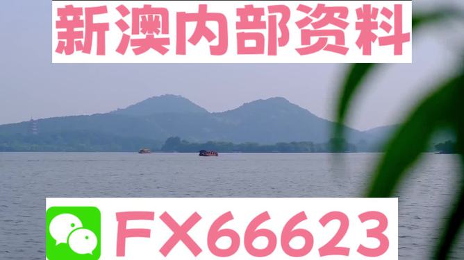 新澳2024正版資料免費(fèi)公開，探索與啟示，新澳2024正版資料探索與啟示，免費(fèi)公開內(nèi)容揭秘