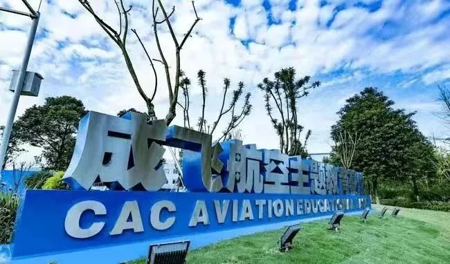 成飛集團(tuán)與成飛集成，潛在的整合與協(xié)同潛力分析，成飛集團(tuán)與成飛集成，潛在整合與協(xié)同潛力深度解析