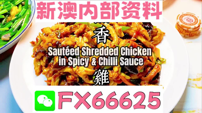 2024新奧正版資料大全詳解，2024新奧正版資料大全詳解手冊(cè)