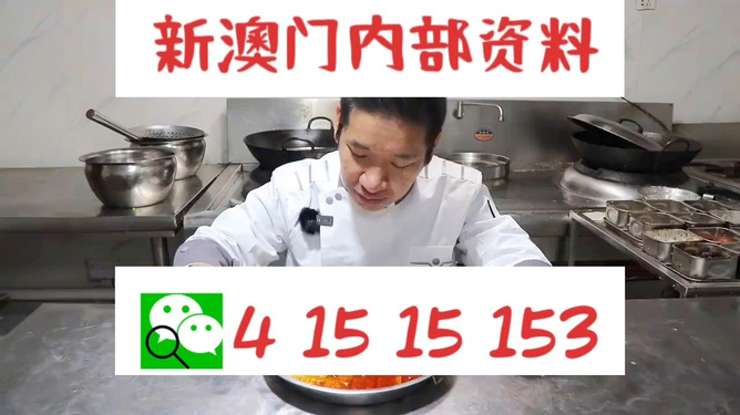 管家婆204年資料一肖配成龍——揭秘背后的故事與智慧，揭秘管家婆與成龍背后的故事與智慧，一肖資料解密204年傳奇之路