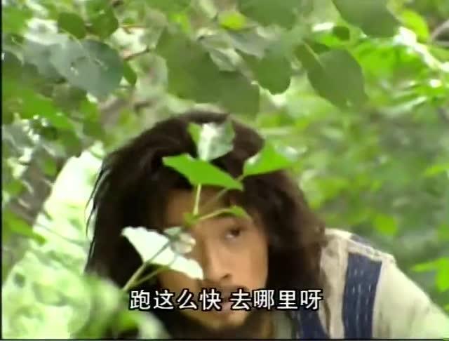 疾風(fēng)之影 第17頁