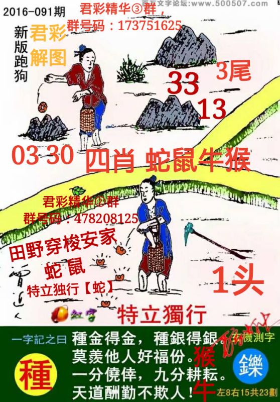 探索精準(zhǔn)跑狗圖，數(shù)字組合77777與88888的魅力，精準(zhǔn)跑狗圖揭秘，數(shù)字組合77777與88888的魅力探索