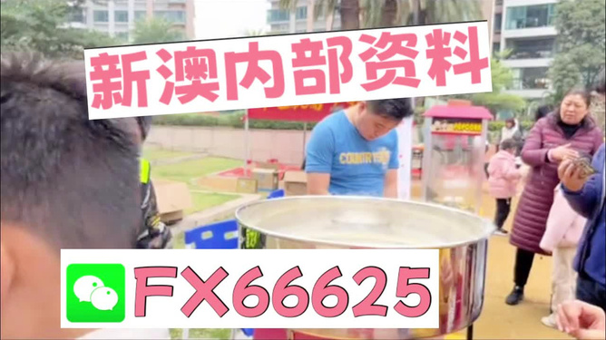 澳門正版免費(fèi)全年資料大全與精彩旅游團(tuán)體驗(yàn)，澳門正版全年資料大全與精彩旅游團(tuán)體驗(yàn)之旅