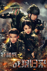 特種兵之火鳳凰，鐵血與柔美的融合，特種兵之火鳳凰，鐵血與柔美的交融傳奇
