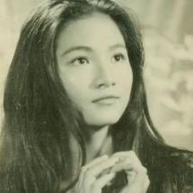 鄭佩佩個人資料簡介，鄭佩佩個人簡介