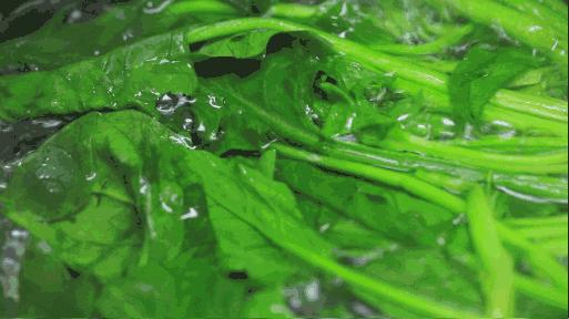 對腎最好的五種蔬菜，對腎最好的五種蔬菜介紹